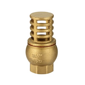 Austworld, logi valve, non return valves, foot valves, brass